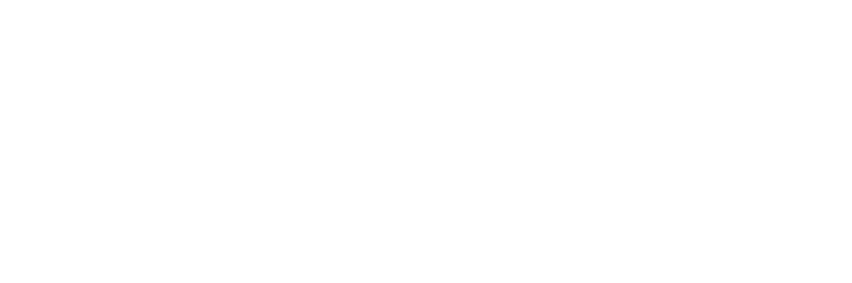 Finsa